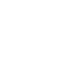 383-CASR-icon.png